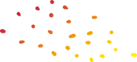T&amp;G Web Solutions logo